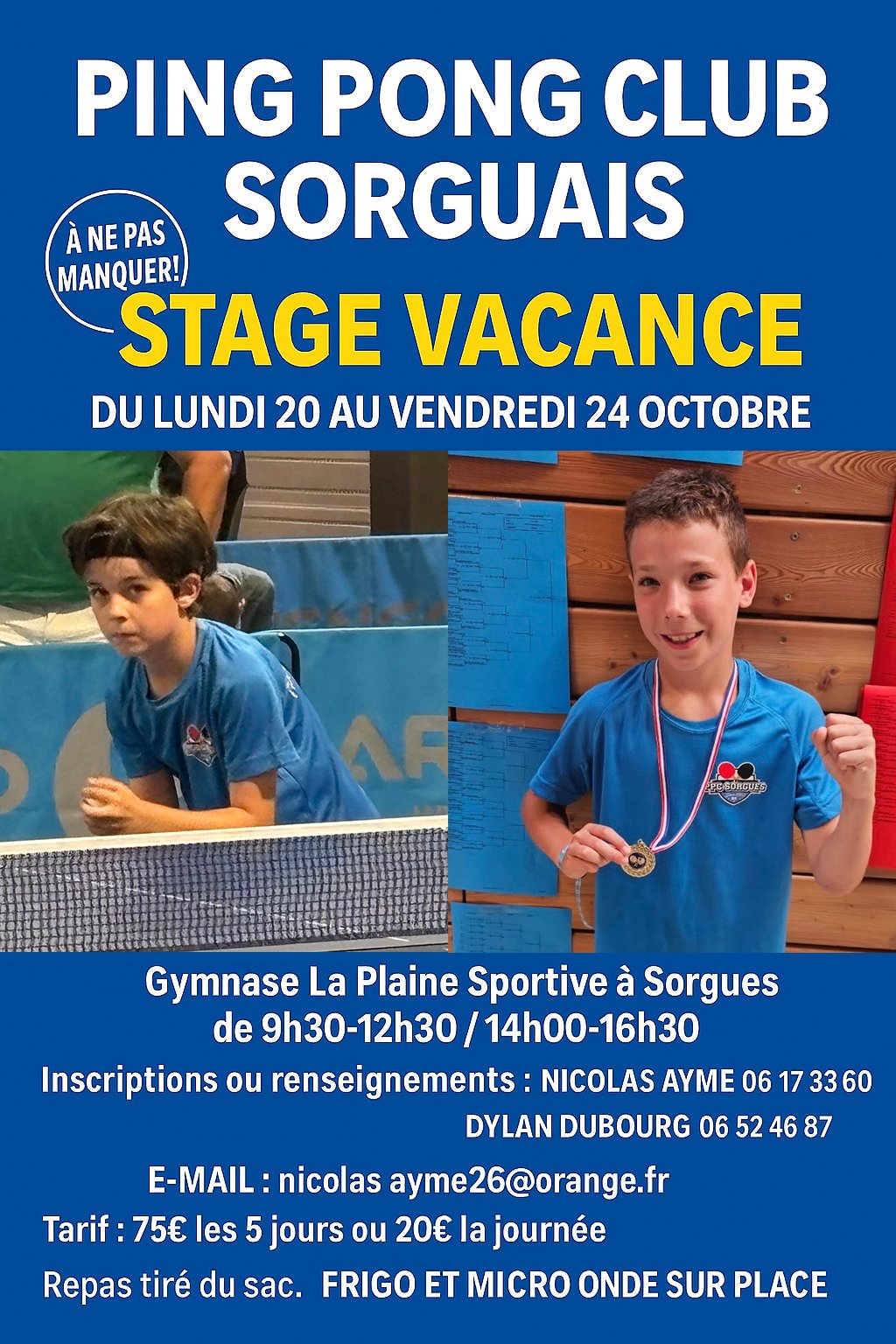 affiche stage